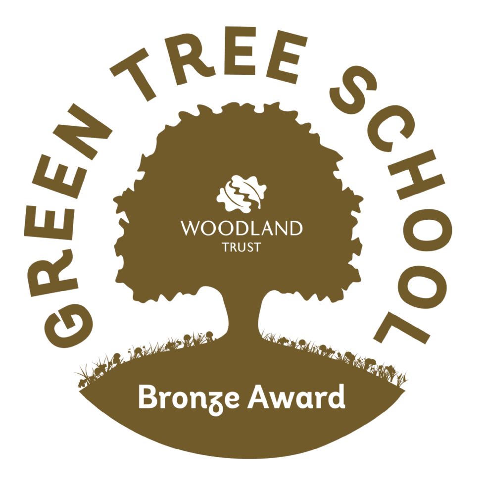 Bronze Award