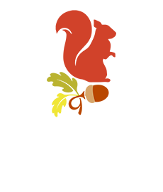 Hamsey Green Primary School